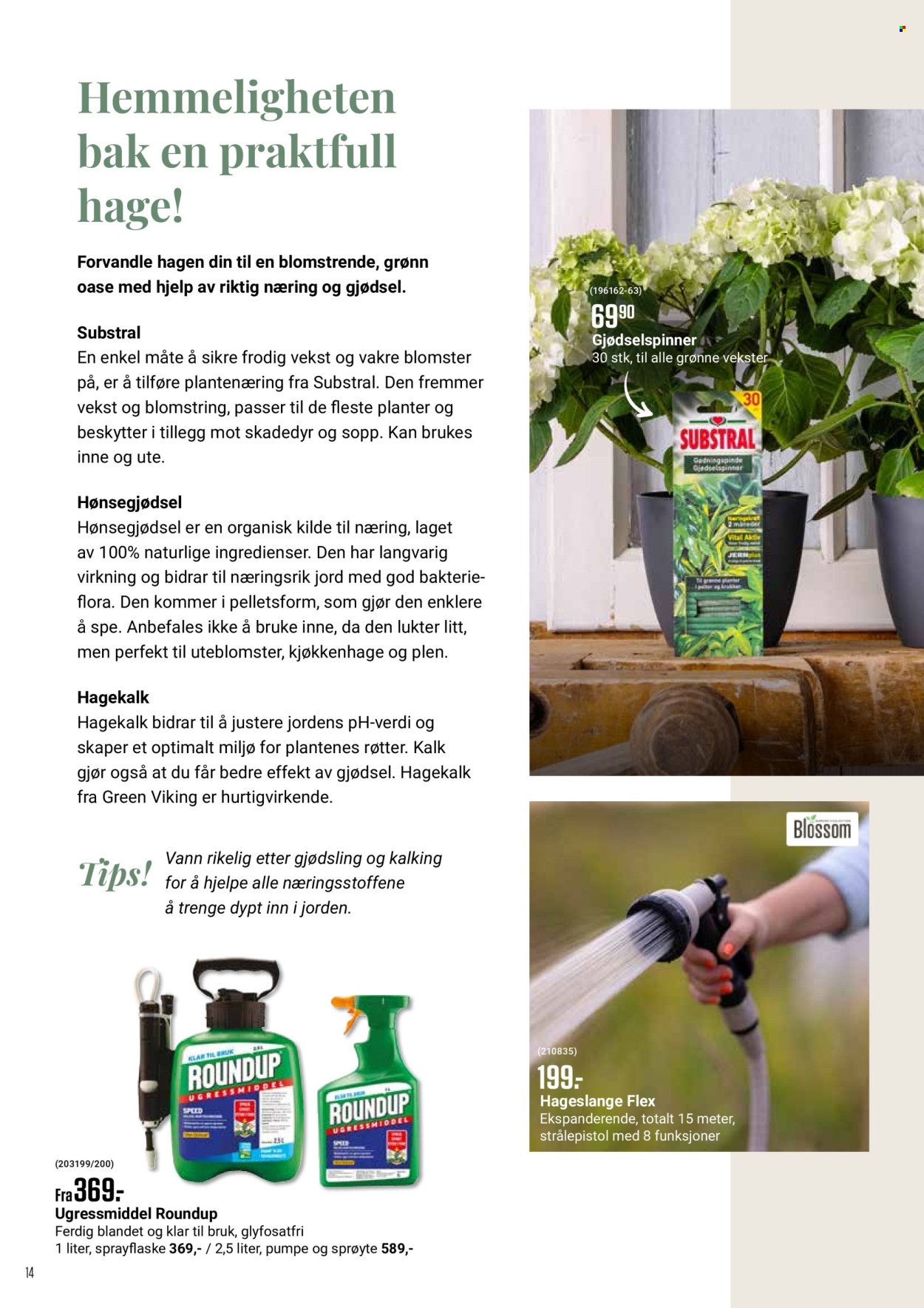 thumbnail - Kundeavis Europris - Produkter fra tilbudsaviser - vann, kan, planter, Green Viking, blomster. Side 14.
