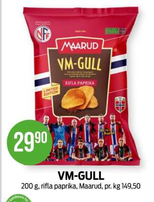 VM-GULL
