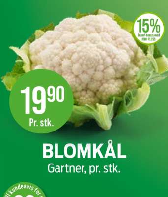 BLOMKÅL