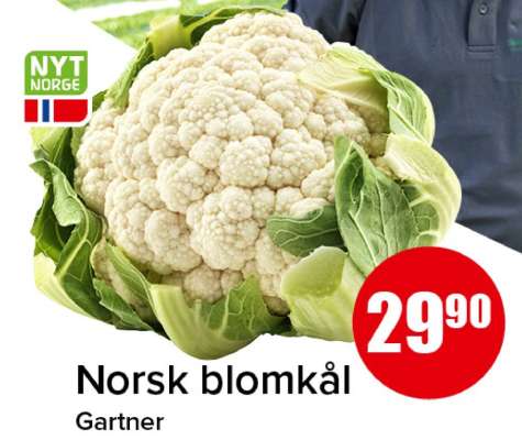 Norsk blomkål