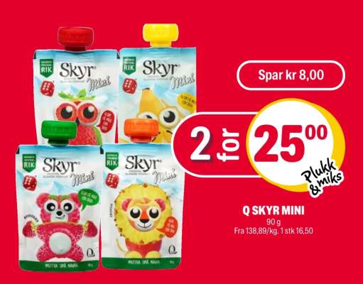 Q SKYR MINI