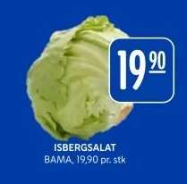 Isbergsalat