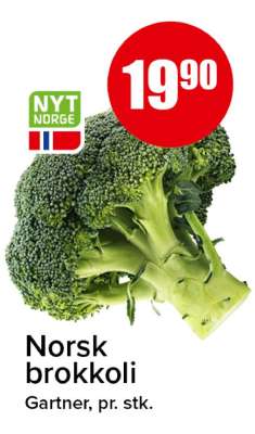 Norsk brokkoli