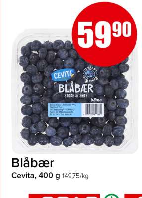 BLÅBÆR