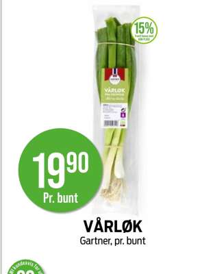 Vårløk