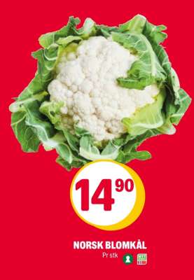Norsk blomkål