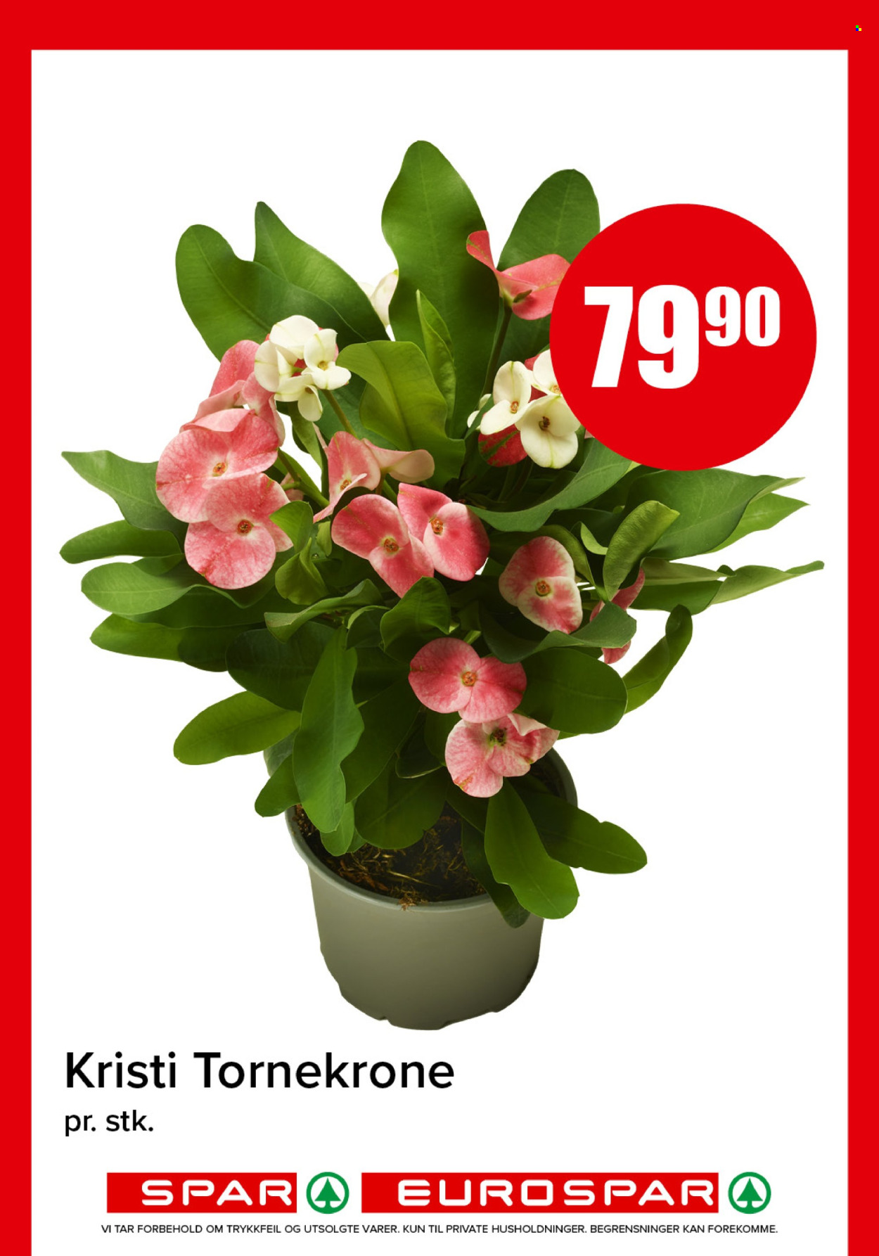Kundeavis SPAR - 3.8.2026 - 9.8.2026. Side 12
