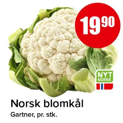 Norsk blomkål