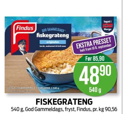 FISKEGRATENG
