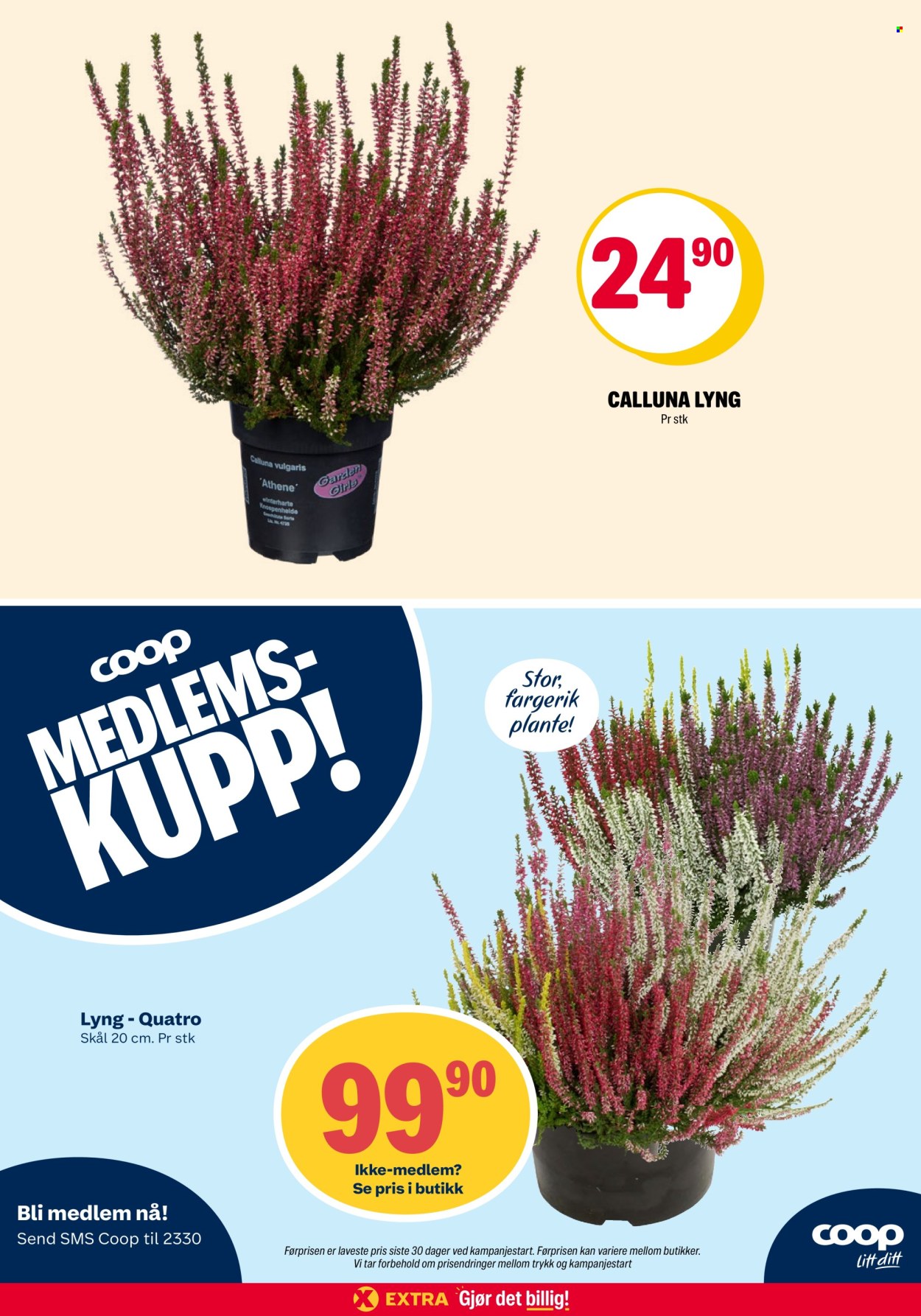 Kundeavis Coop Extra - 7.9.2026 - 13.9.2026. Side 31