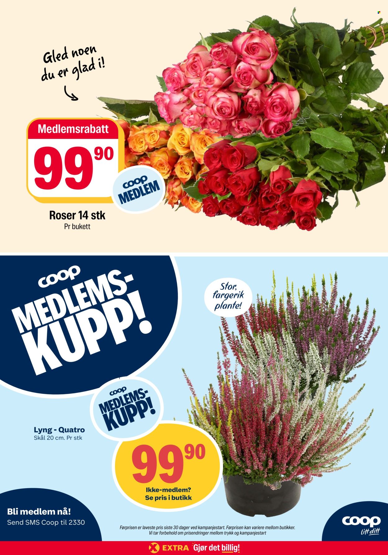 Kundeavis Coop Extra - 14.9.2026 - 20.9.2026. Side 29
