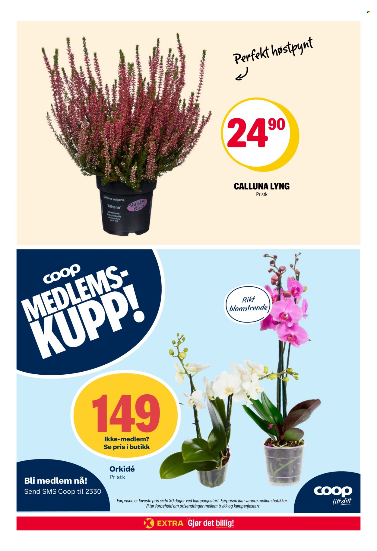 Kundeavis Coop Extra - 21.9.2026 - 27.9.2026. Side 31