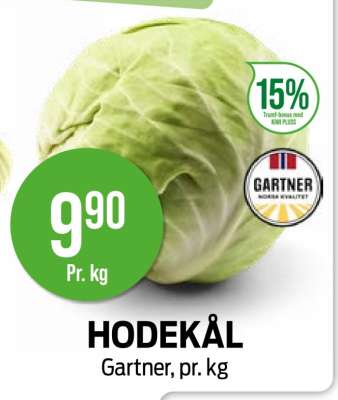 Hodekål