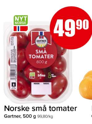 Norske små tomater